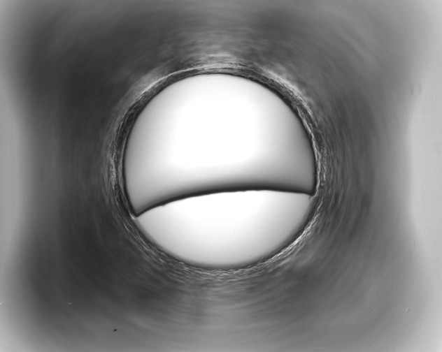 X0000098171407200804240959