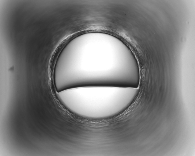 X0000098171408200804240959