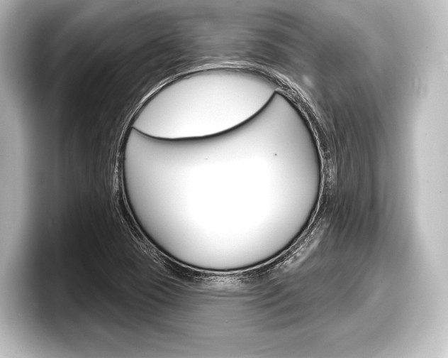 X0000098171409200804240959