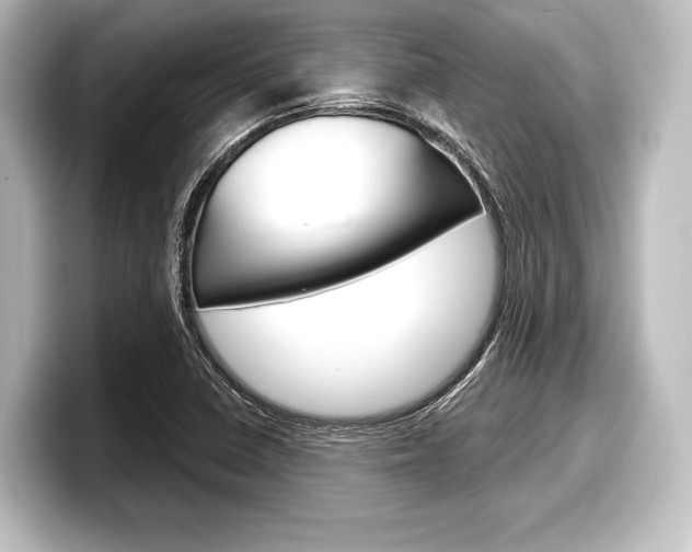 X0000098171410200804240959