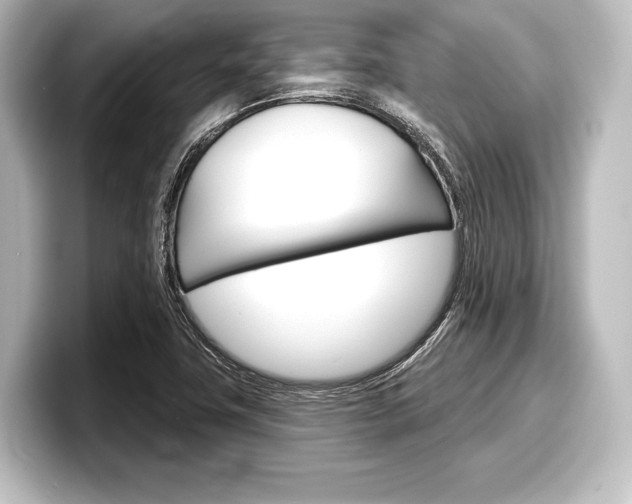 X0000098171411200804240959