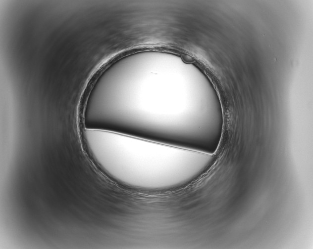 X0000098171412200804240959