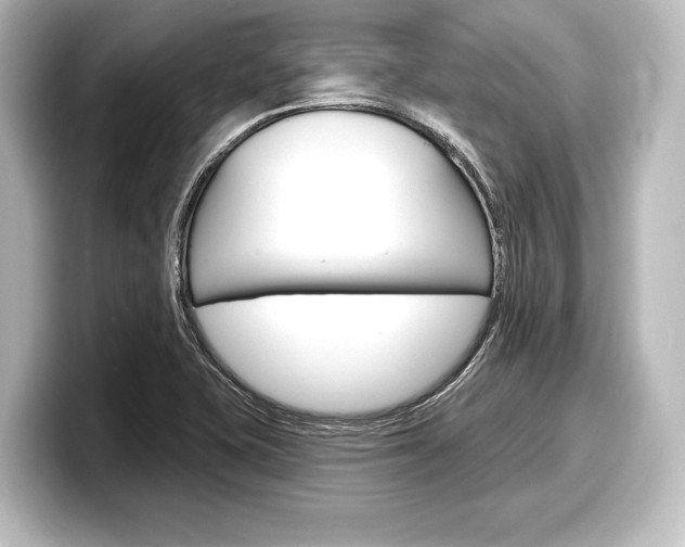 X0000098171415200804241000