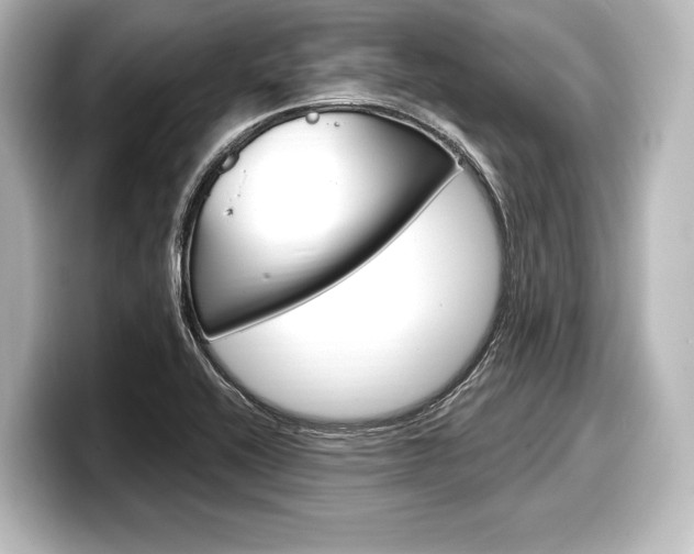 X0000098171416200804241000