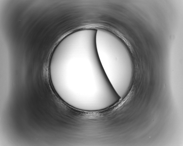 X0000098171417200804241000