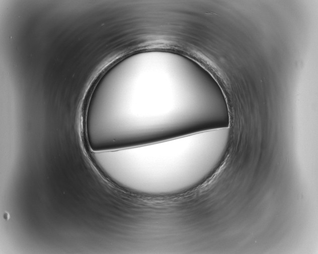 X0000098171418200804241000