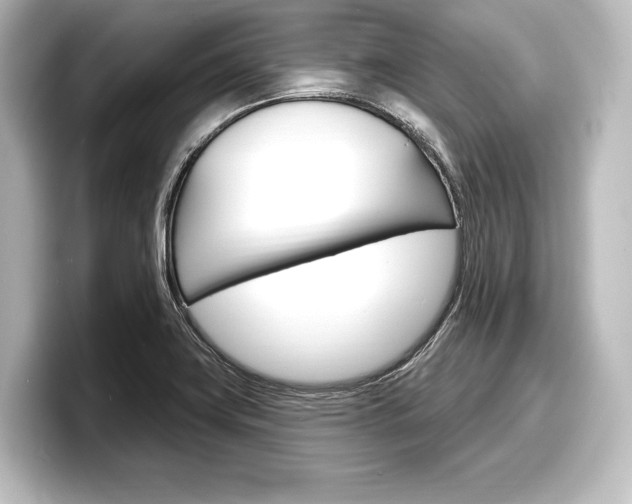 X0000098171419200804241000