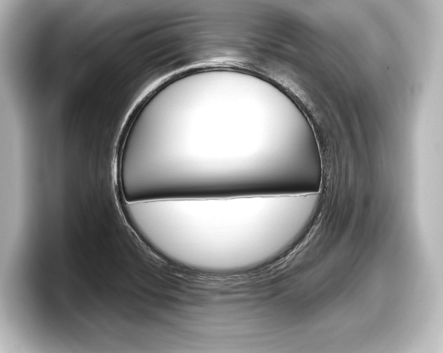 X0000098171420200804241000