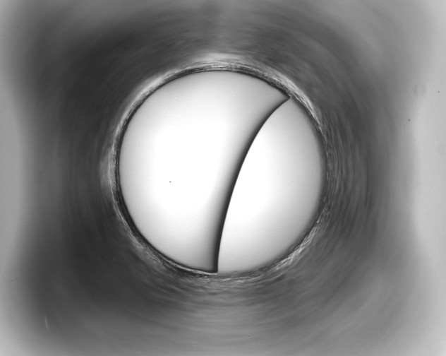 X0000098171421200804241000