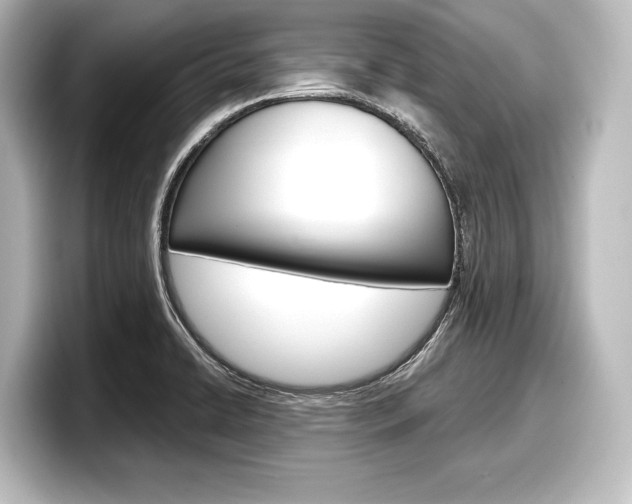 X0000098171422200804241000