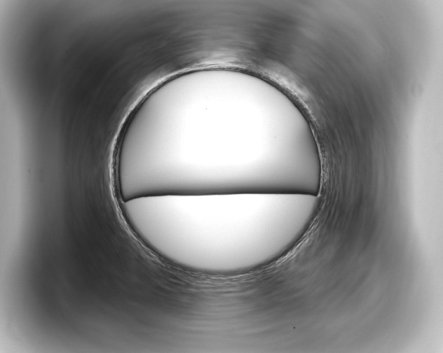 X0000098171423200804241000