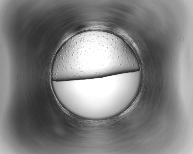 X0000098171425200804241000