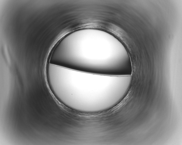 X0000098171426200804241000