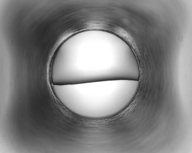 X0000098171427200804241000