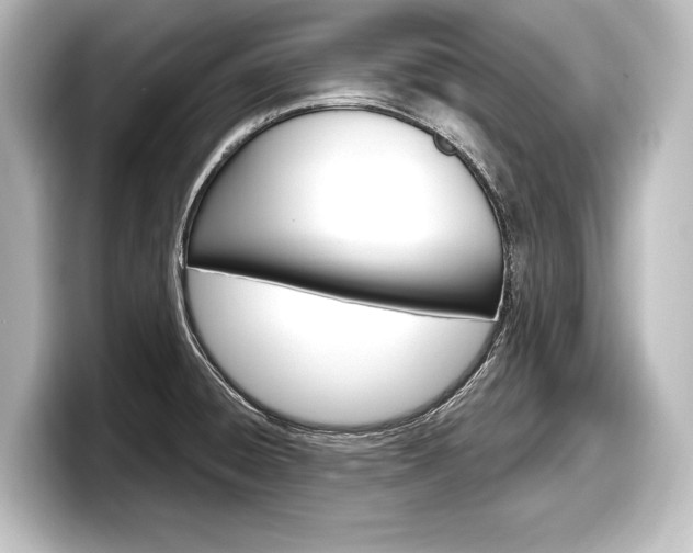X0000098171428200804241000
