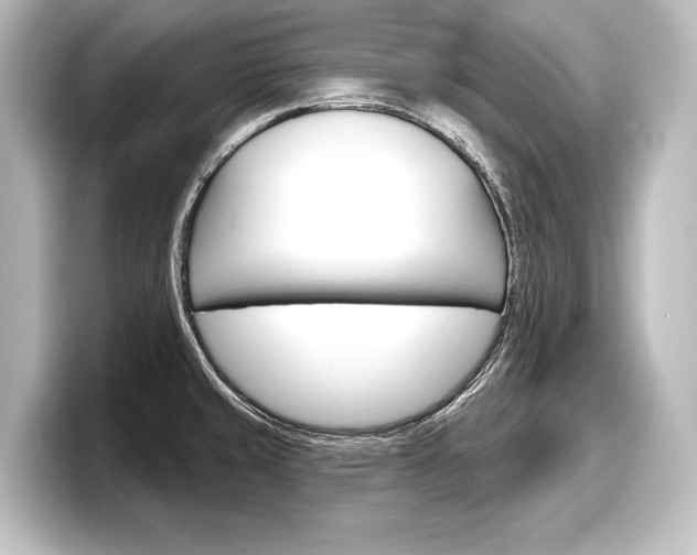X0000098171429200804241000