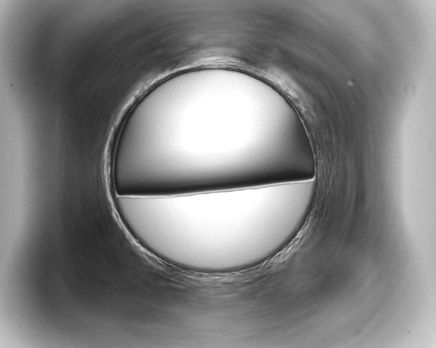 X0000098171430200804241000