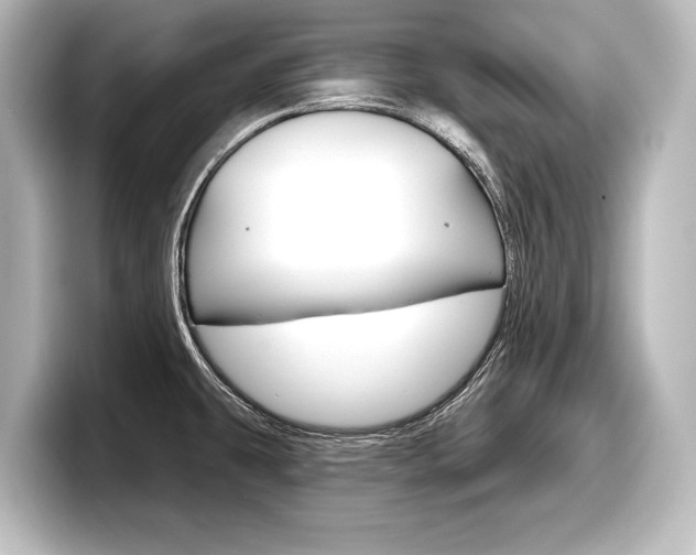 X0000098171431200804241000