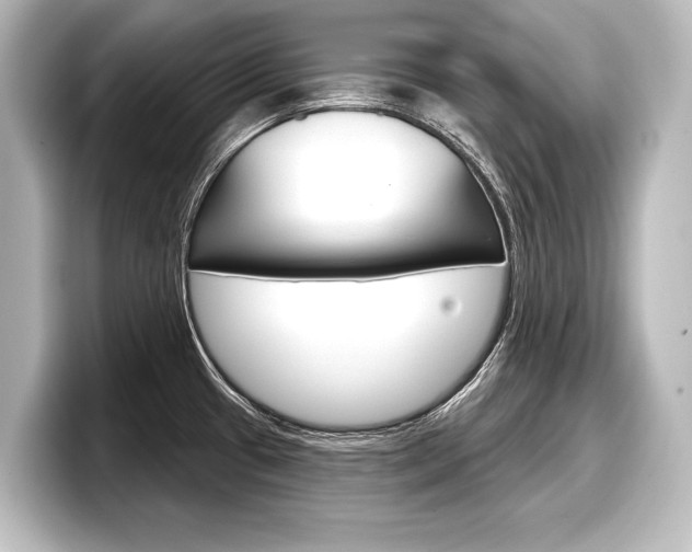 X0000098171433200804241000
