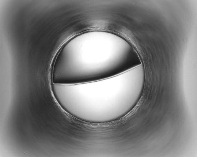 X0000098171434200804241000