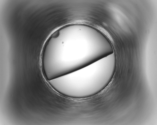 X0000098171436200804241000