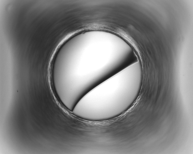 X0000098171437200804241000