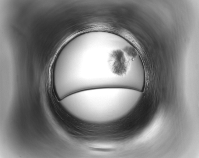 X0000098171439200804241000