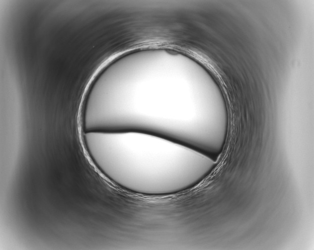 X0000098171440200804241000