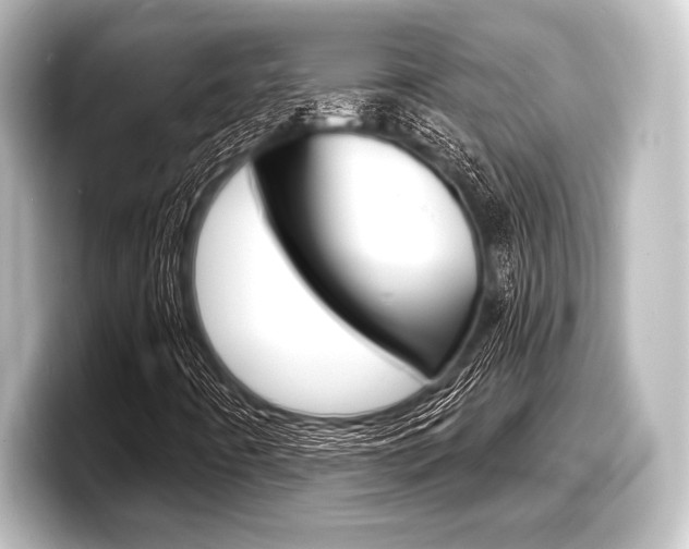 X0000098171442200804240959