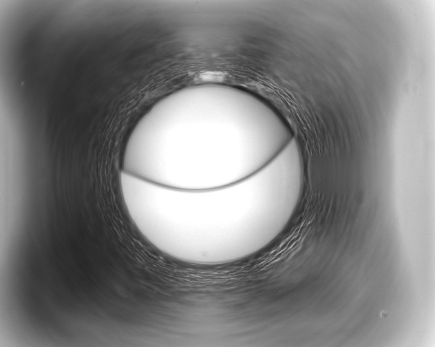 X0000098171443200804240959