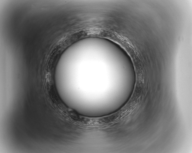 X0000098171445200804240959