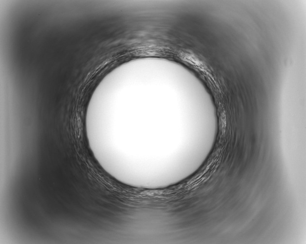 X0000098171446200804240959
