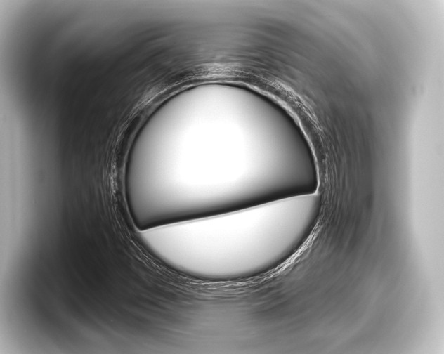 X0000098171449200804240959