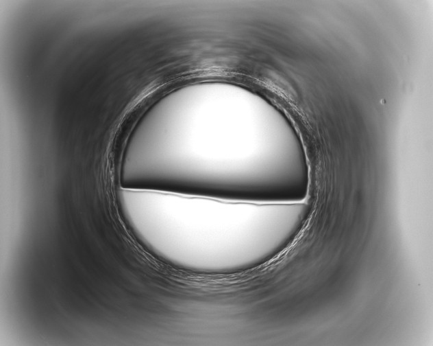 X0000098171450200804240959