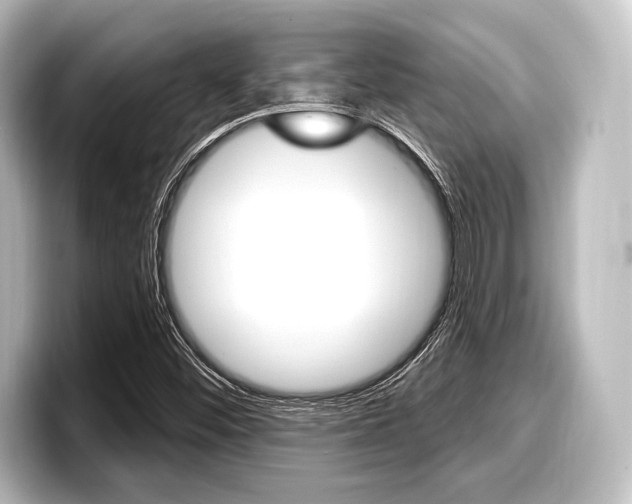 X0000098171452200804240959