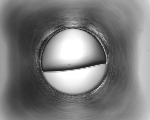 X0000098171453200804240959