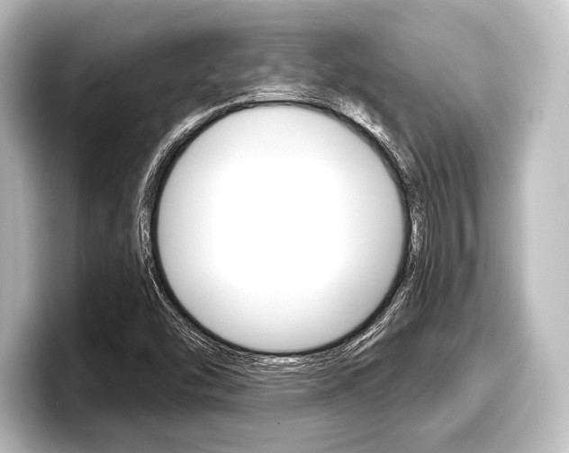 X0000098171454200804240959