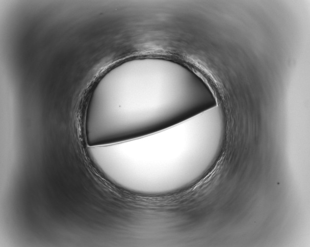 X0000098171455200804240959