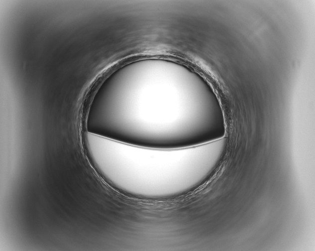 X0000098171456200804240959