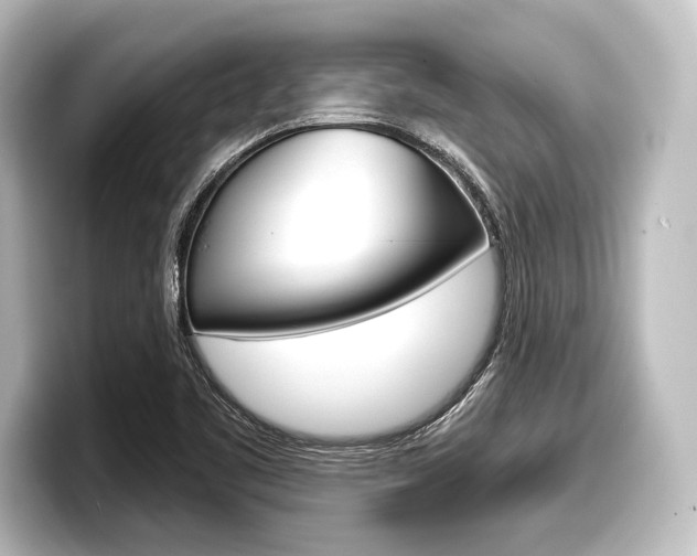 X0000098171461200804240959