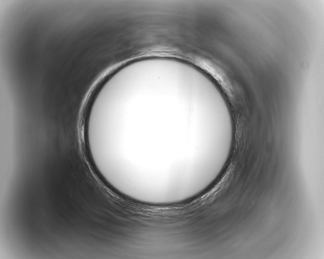 X0000098171462200804240959