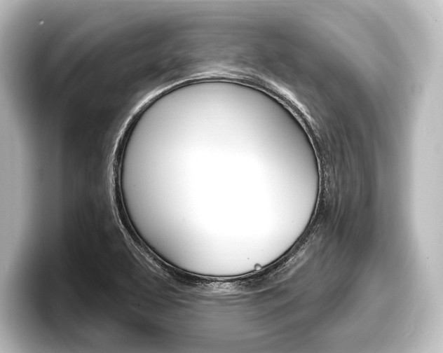 X0000098171463200804240959