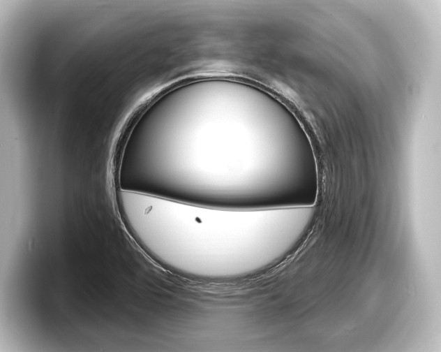 X0000098171464200804240959