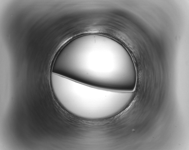 X0000098171465200804240959