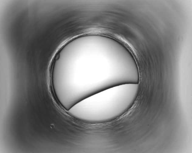 X0000098171467200804240959