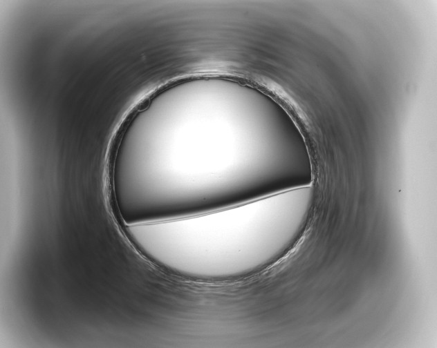 X0000098171469200804240959