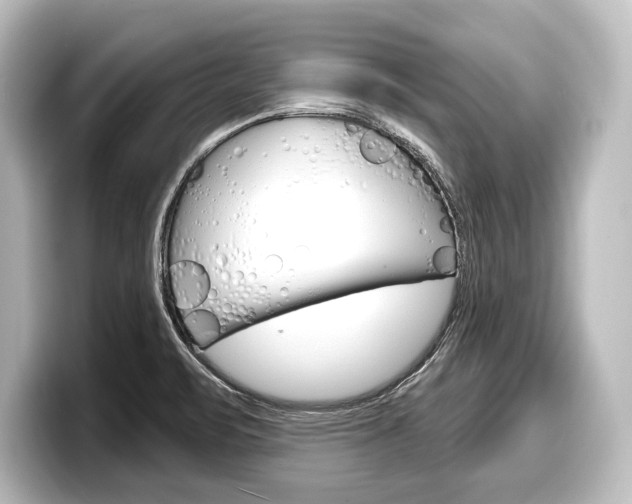 X0000098171471200804240959