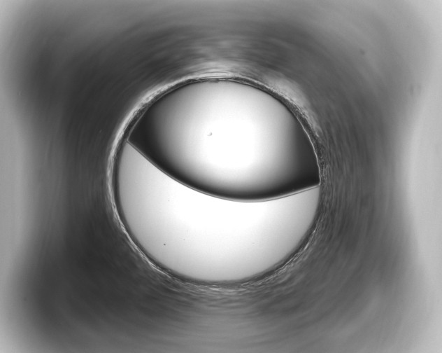 X0000098171472200804240959