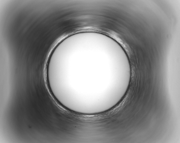 X0000098171474200804240959