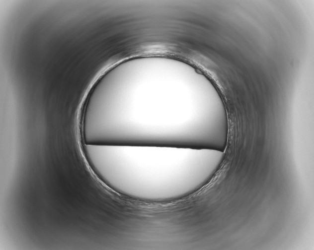 X0000098171475200804240959